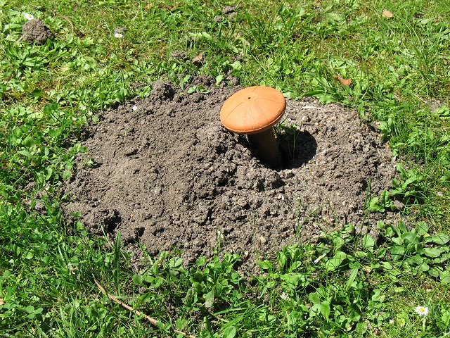 Bild 12 von 48