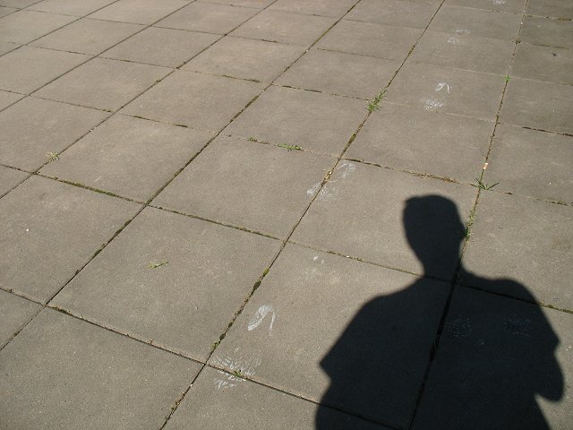 Bild 45 von 48