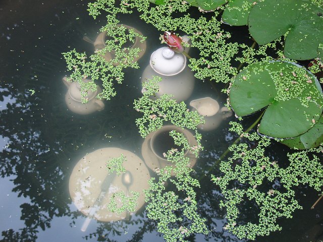 Bild 24 von 24