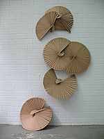 Bild 8 von 24