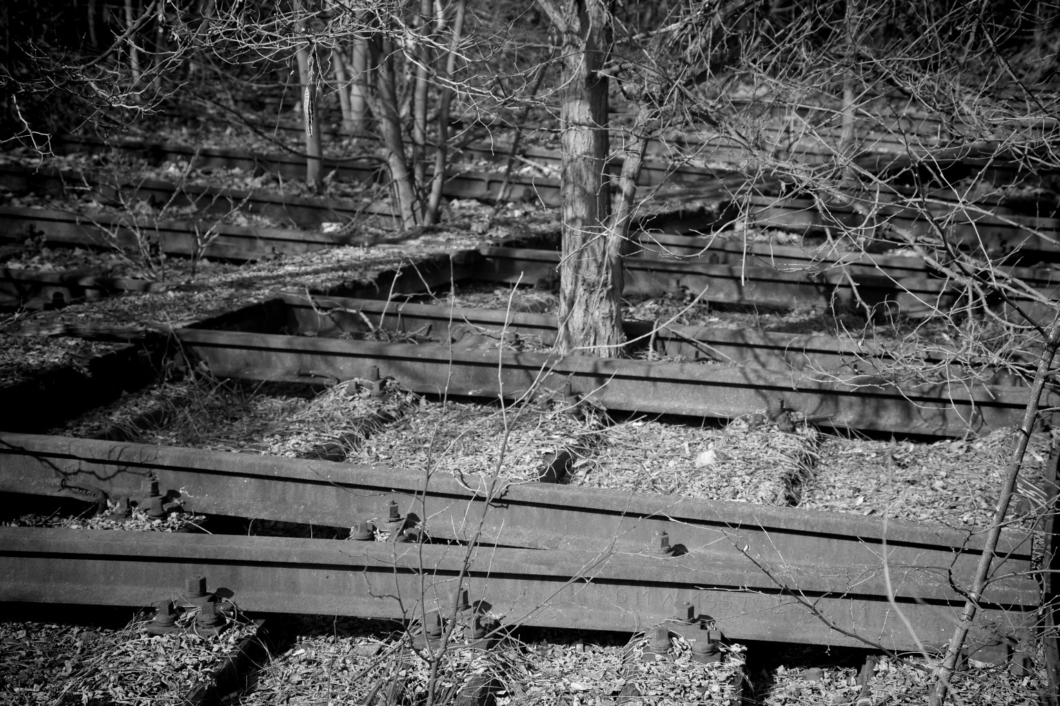 2010-03-25_10-17-18.jpg