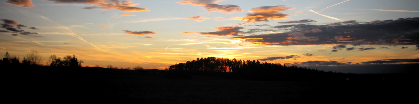 2010-11-13_16-35-20.jpg