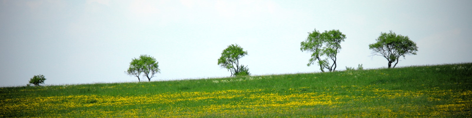 2011-04-24_14-13-14.jpg