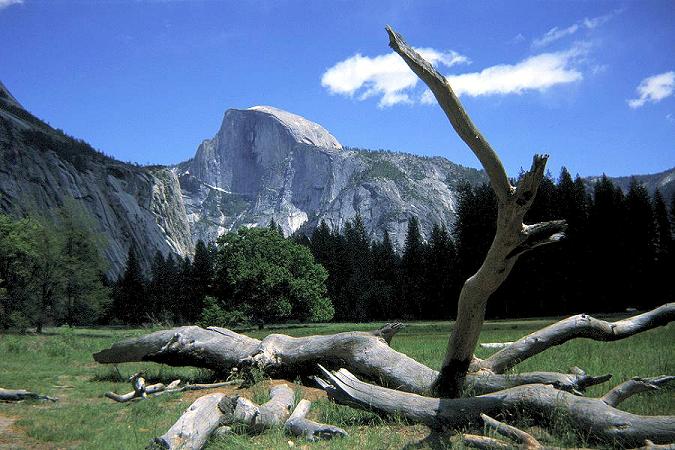 Yosemite National Park II