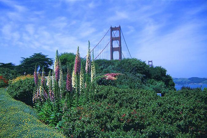 San Francisco III