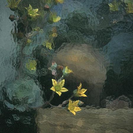 Botanischer Garten I